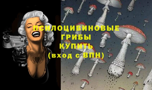 прущий лед Армянск