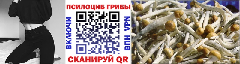 Псилоцибиновые грибы Psilocybe  где можно купить наркотик  Лангепас 